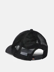 Шапки и кепки Dickies Sumiton Trucker модель DK0A4XYGBLK1 Фото