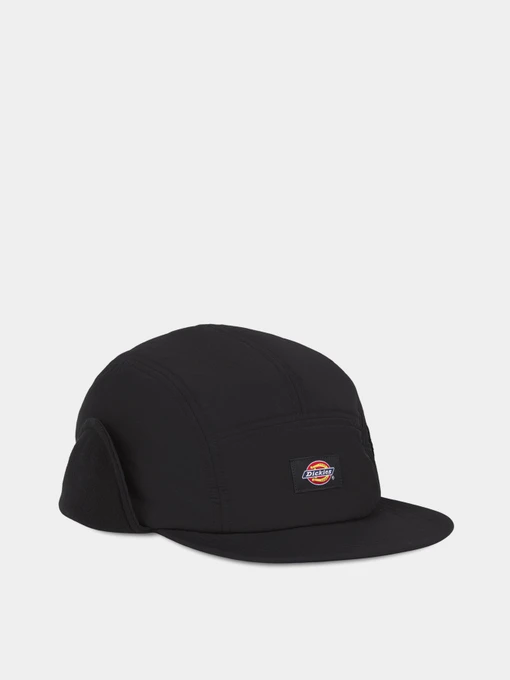Шапки и кепки Dickies Glendive модель DK0A4Z3LBLK1 Фото