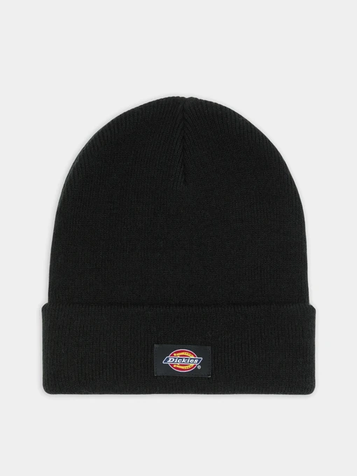 Шапки та кепки Dickies Gibsland модель DK0A4Z3RBLK1 Фото