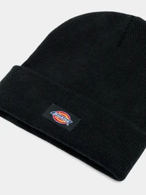 Шапки та кепки Dickies Gibsland модель DK0A4Z3RBLK1 Фото