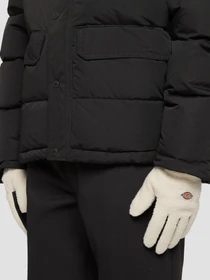 Перчатки и варежки Dickies Pinesdale модель DK0A4ZAVF901 Фото