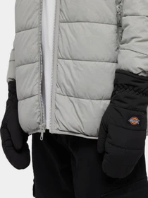 Рукавиці та рукавички Dickies модель DK0A4ZAZBLK1 Фото