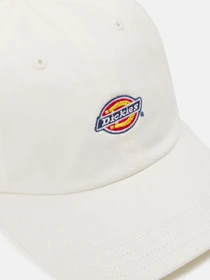 Шапки та кепки Dickies Hardwick модель DK0A4TKVC581 Фото