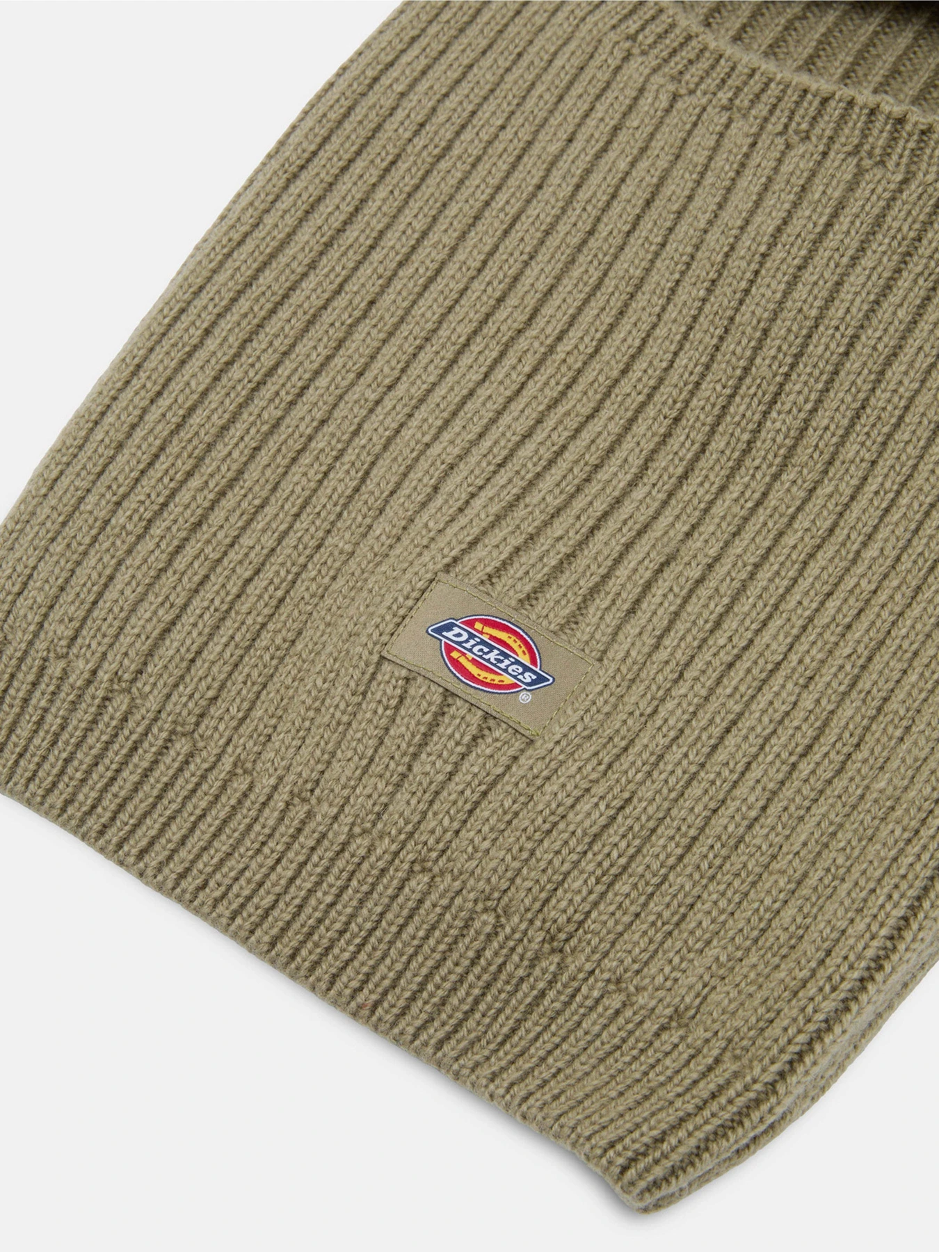 Шапки и кепки Dickies Rib модель DK0A4Z320IP1 Шапки и кепки Dickies Rib модель DK0A4Z320IP1 Фото