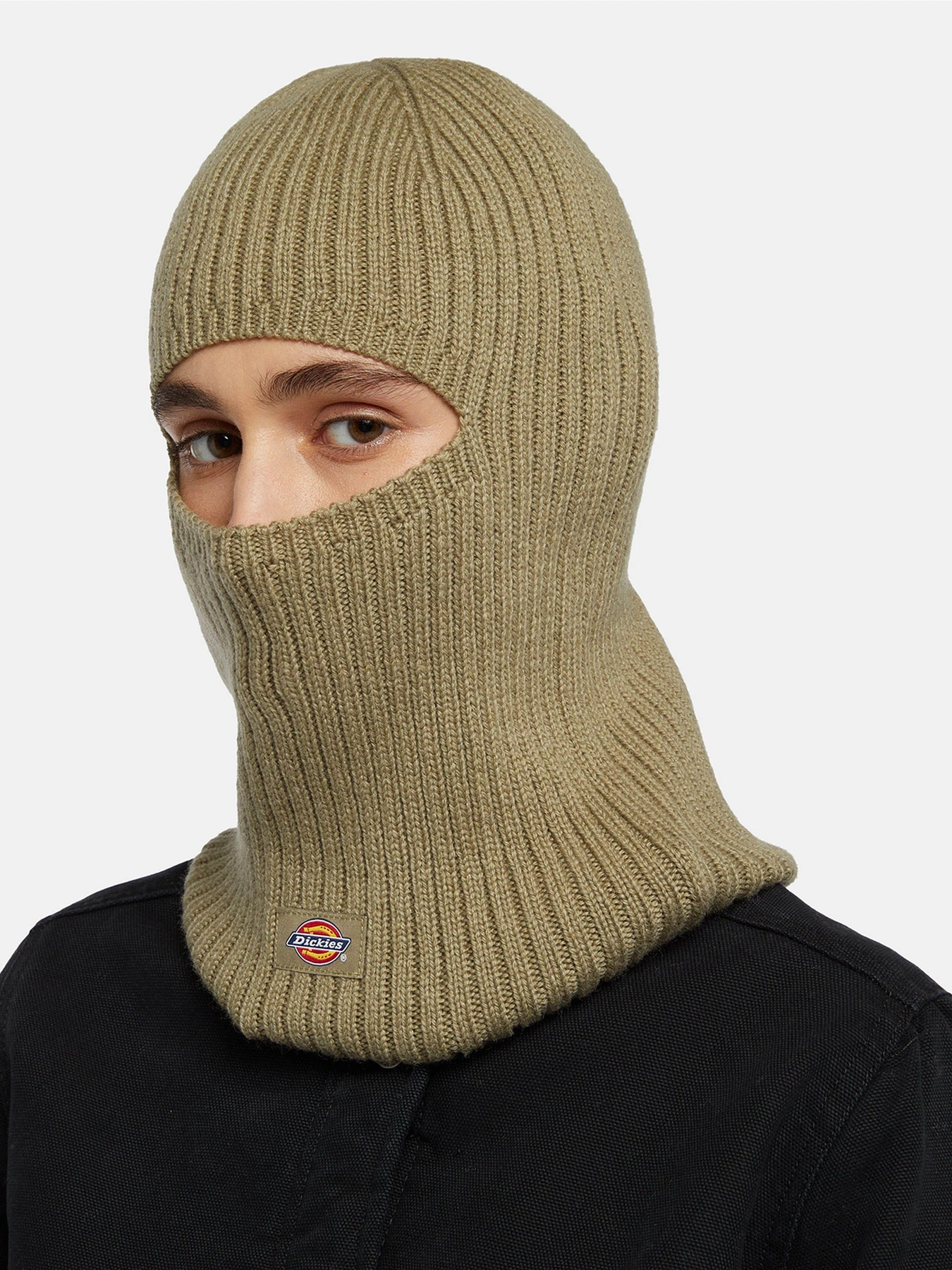 Шапки и кепки Dickies Rib модель DK0A4Z320IP1 Шапки и кепки Dickies Rib модель DK0A4Z320IP1 Фото