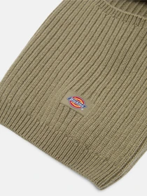Шапки и кепки Dickies Rib модель DK0A4Z320IP1 Фото