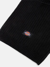 Шапки та кепки Dickies Rib модель DK0A4Z32BLK1 Фото