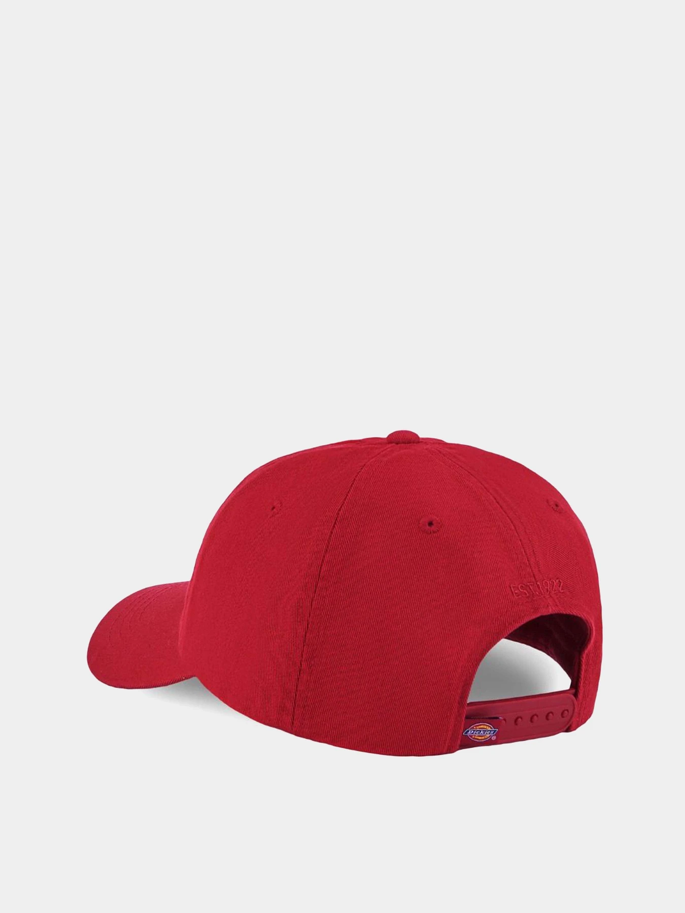 Шапки та кепки Dickies Hardwick модель DK0A4TKV0ER1 Фото