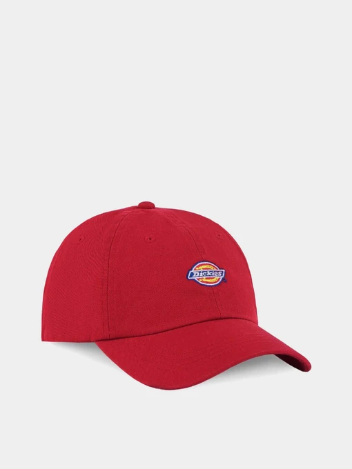 Шапки и кепки Dickies Hardwick модель DK0A4TKV0ER1 Фото