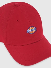Шапки та кепки Dickies Hardwick модель DK0A4TKV0ER1 Фото