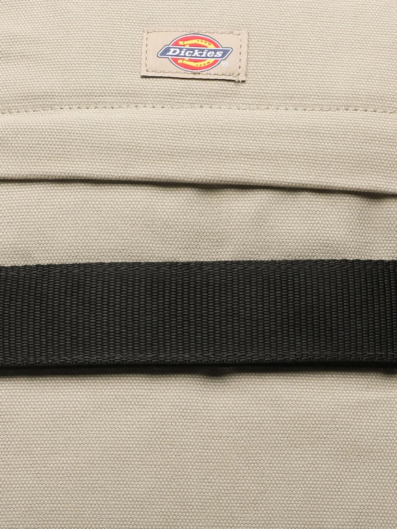 Рюкзаки Dickies Duck Canvas Plus модель DK0A4XF9DS01 Рюкзаки Dickies Duck Canvas Plus модель DK0A4XF9DS01 Фото