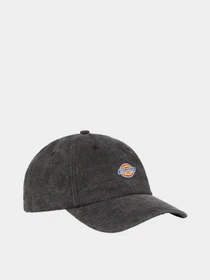 Шапки та кепки Dickies Hardwick Duck Canvas модель DK0A4Y9IBLK1 Фото