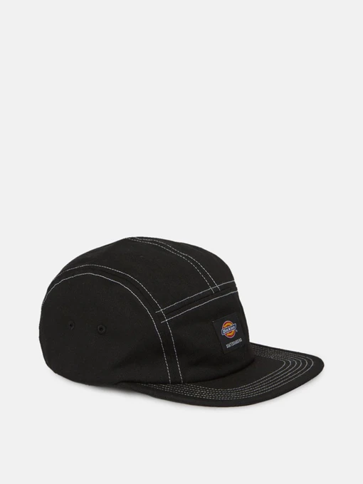 Шапки и кепки Dickies Life Mount Vista Cap модель DK0A4XYJBLK1 Фото