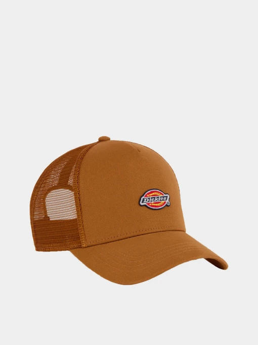 Шапки и кепки Dickies Hanston Trucker модель DK0A4YV30BD1 Фото