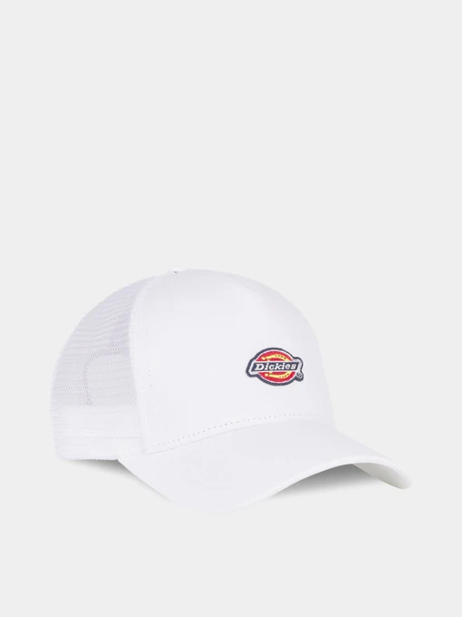 Шапки и кепки Dickies Hanston Trucker модель DK0A4YV3C581 Фото