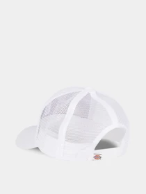 Шапки та кепки Dickies Hanston Trucker модель DK0A4YV3C581 Фото