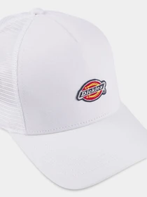 Шапки та кепки Dickies Hanston Trucker модель DK0A4YV3C581 Фото