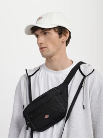 Сумки Dickies Ashville Pouch модель DK0A4Y1UBLK1 Фото