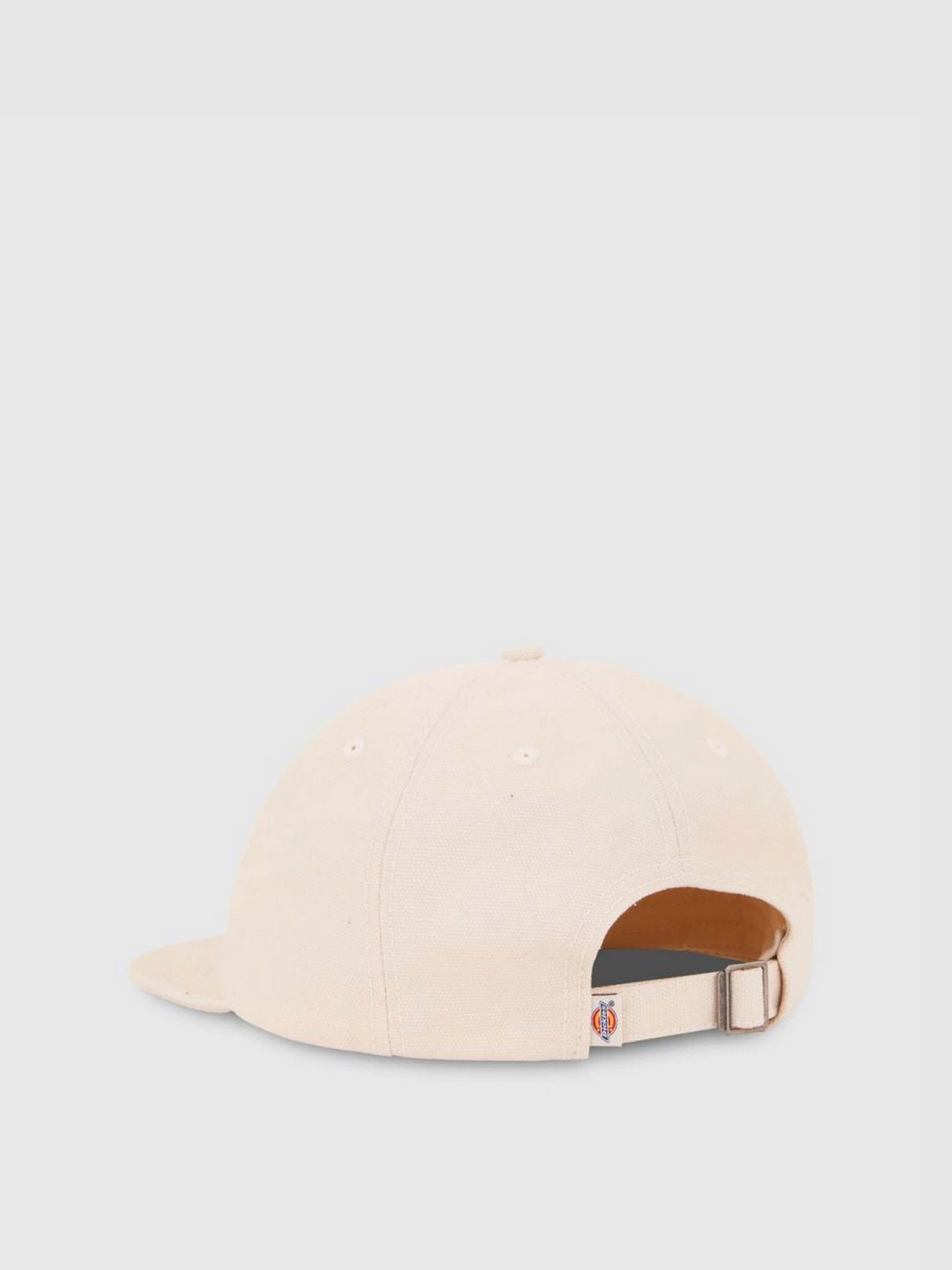 Шапки и кепки Dickies River Ranch модель DK0A4Z6JF901 Шапки и кепки Dickies River Ranch модель DK0A4Z6JF901 Фото