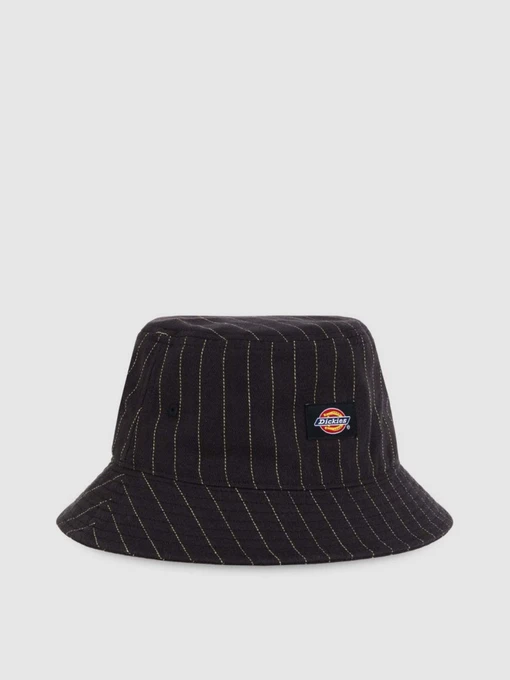 Шапки и кепки Dickies Ecru модель DK0A4Z6KBLK1 Фото