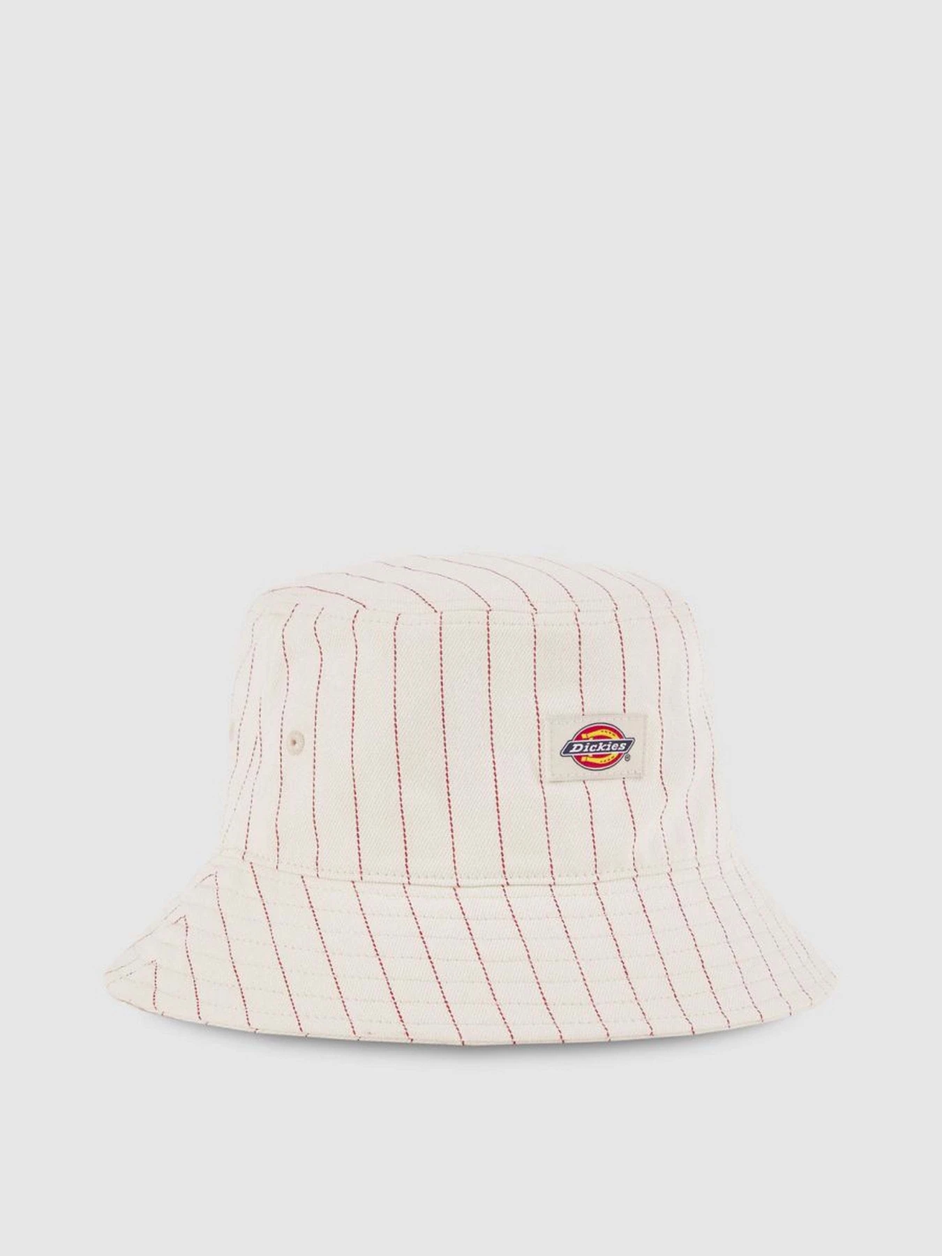 Шапки и кепки Dickies Ecru модель DK0A4Z6KC481 Шапки и кепки Dickies Ecru модель DK0A4Z6KC481 Фото