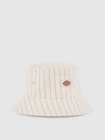 Шапки и кепки Dickies Ecru модель DK0A4Z6KC481 Фото