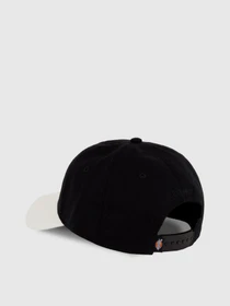 Шапки та кепки Dickies Hardwick 2 Tone модель DK0A4Z6LBLK1 Фото