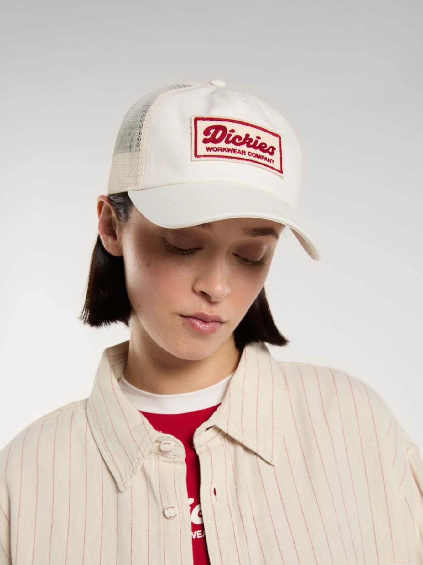 Шапки и кепки Dickies Lewistown Trucker модель DK0A4Z6MC481 Шапки и кепки Dickies Lewistown Trucker модель DK0A4Z6MC481 Фото