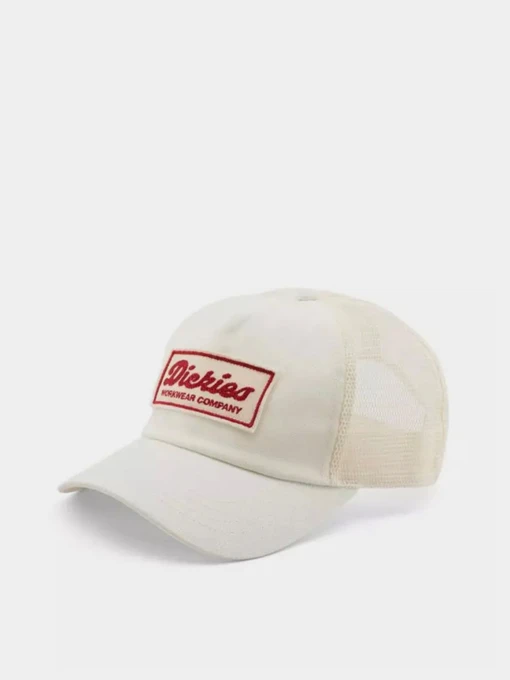 Шапки и кепки Dickies Lewistown Trucker модель DK0A4Z6MC481 Фото