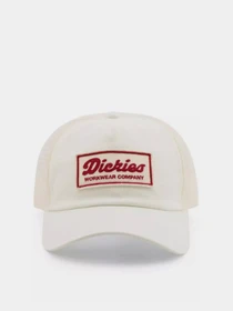 Шапки и кепки Dickies Lewistown Trucker модель DK0A4Z6MC481 Фото