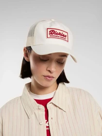 Шапки и кепки Dickies Lewistown Trucker модель DK0A4Z6MC481 Фото
