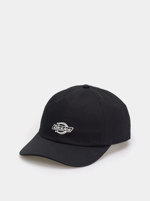 Шапки и кепки Dickies Essential Dad модель DK0A4Z6NBLK1 Фото