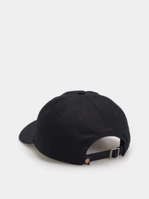 Шапки и кепки Dickies Essential Dad модель DK0A4Z6NBLK1 Фото