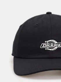 Шапки и кепки Dickies Essential Dad модель DK0A4Z6NBLK1 Фото