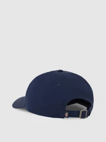 Шапки та кепки Dickies Essential Dad модель DK0A4Z6NCT91 Фото