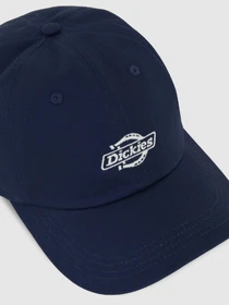 Шапки та кепки Dickies Essential Dad модель DK0A4Z6NCT91 Фото