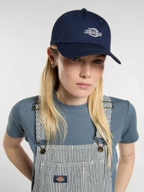 Шапки та кепки Dickies Essential Dad модель DK0A4Z6NCT91 Фото