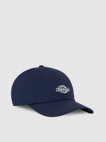 Шапки и кепки Dickies Essential Dad модель DK0A4Z6NCT91 Фото