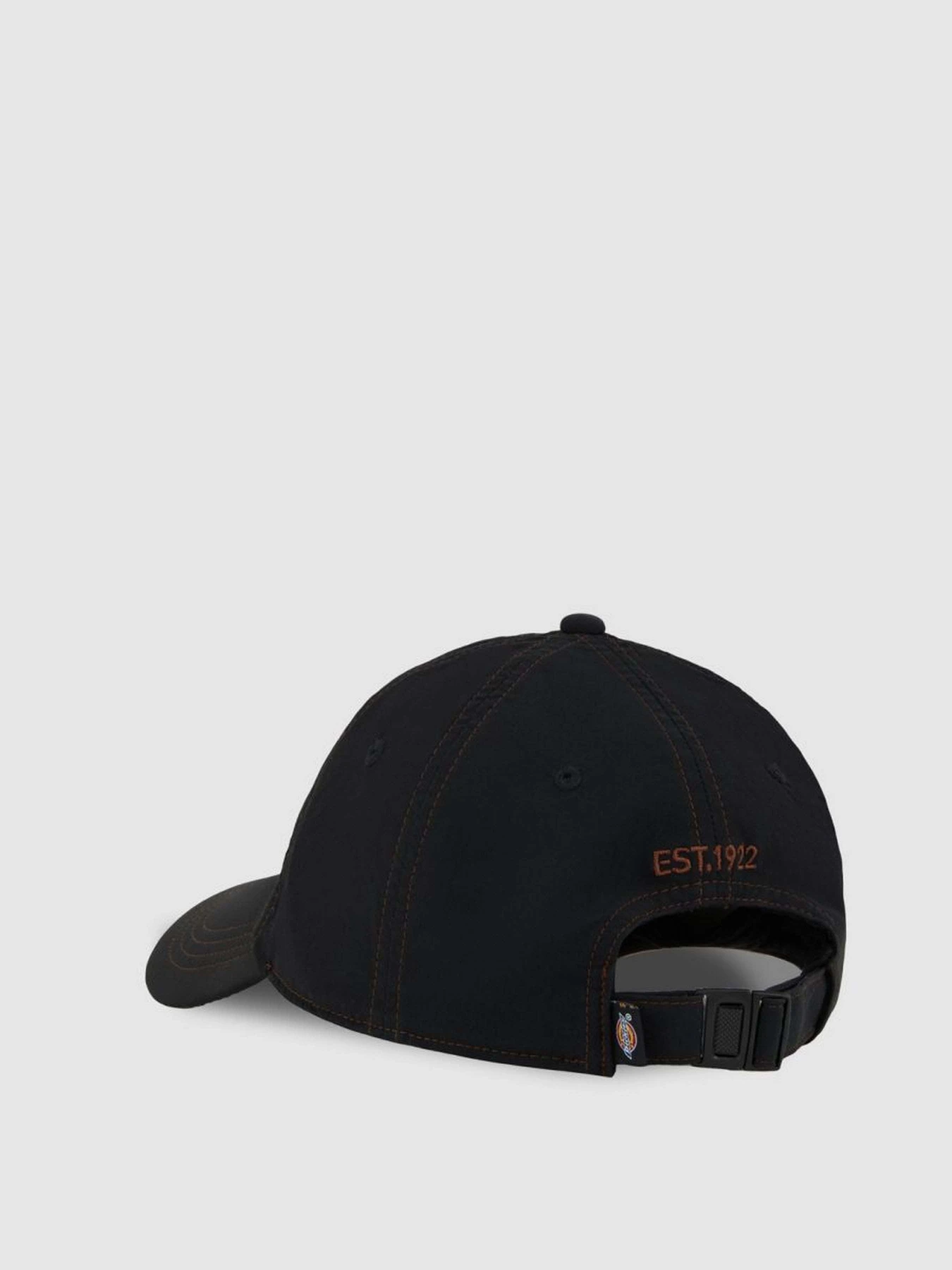 Шапки и кепки Dickies Wilsall модель DK0A4Z6PBLK1 Фото