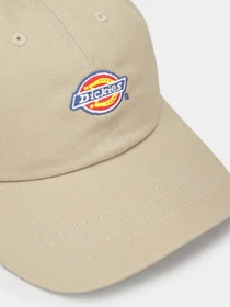 Шапки та кепки Dickies Hardwick модель DK0A4Z6V0DS1 Фото