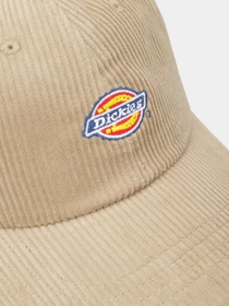 Шапки та кепки Dickies Hardwick Cord Baseball модель DK0A4ZAYKHK1 Фото