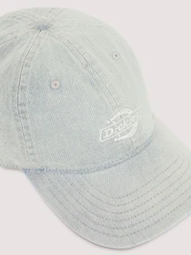 Шапки та кепки Dickies Hardwick Duck модель DK0A867HC151 Фото