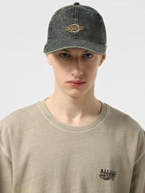 Шапки та кепки Dickies Denim Dad модель DK0A867HK581 Фото