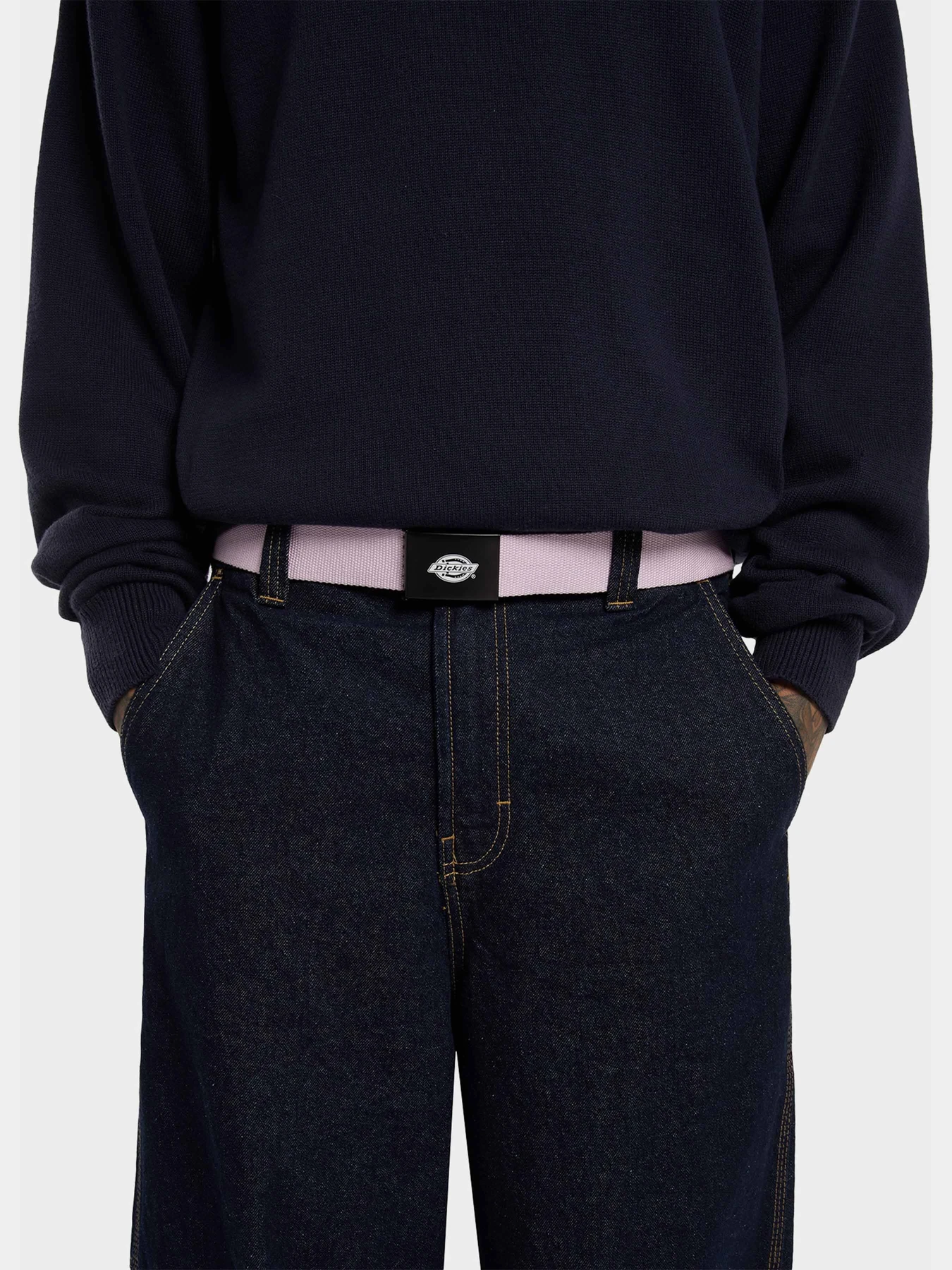 Ремни Dickies Orcutt Winsome Orchid модель DK0A4X7EK731 Ремни Dickies Orcutt Winsome Orchid модель DK0A4X7EK731 Фото