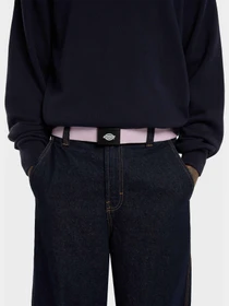 Ремни Dickies Orcutt Winsome Orchid модель DK0A4X7EK731 Фото