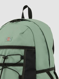Рюкзаки Dickies Ashville модель DK0A4Y33L191 Фото