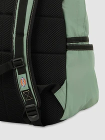 Рюкзаки Dickies Ashville модель DK0A4Y33L191 Фото