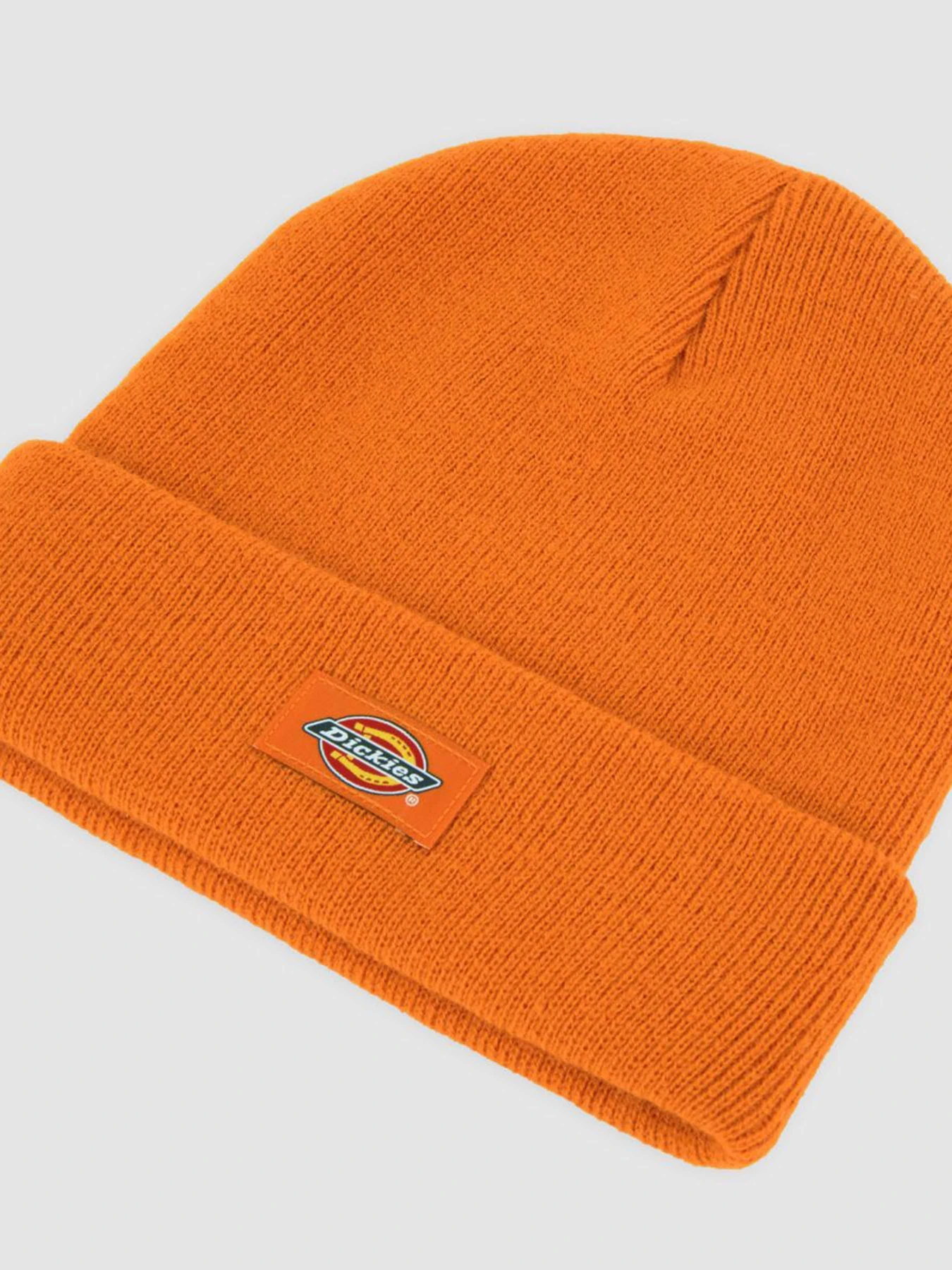 Шапки та кепки Dickies Gibsland модель DK0A4X7KK641 Шапки та кепки Dickies Gibsland модель DK0A4X7KK641 Фото