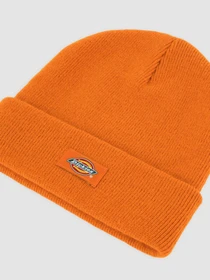Шапки та кепки Dickies Gibsland модель DK0A4X7KK641 Фото