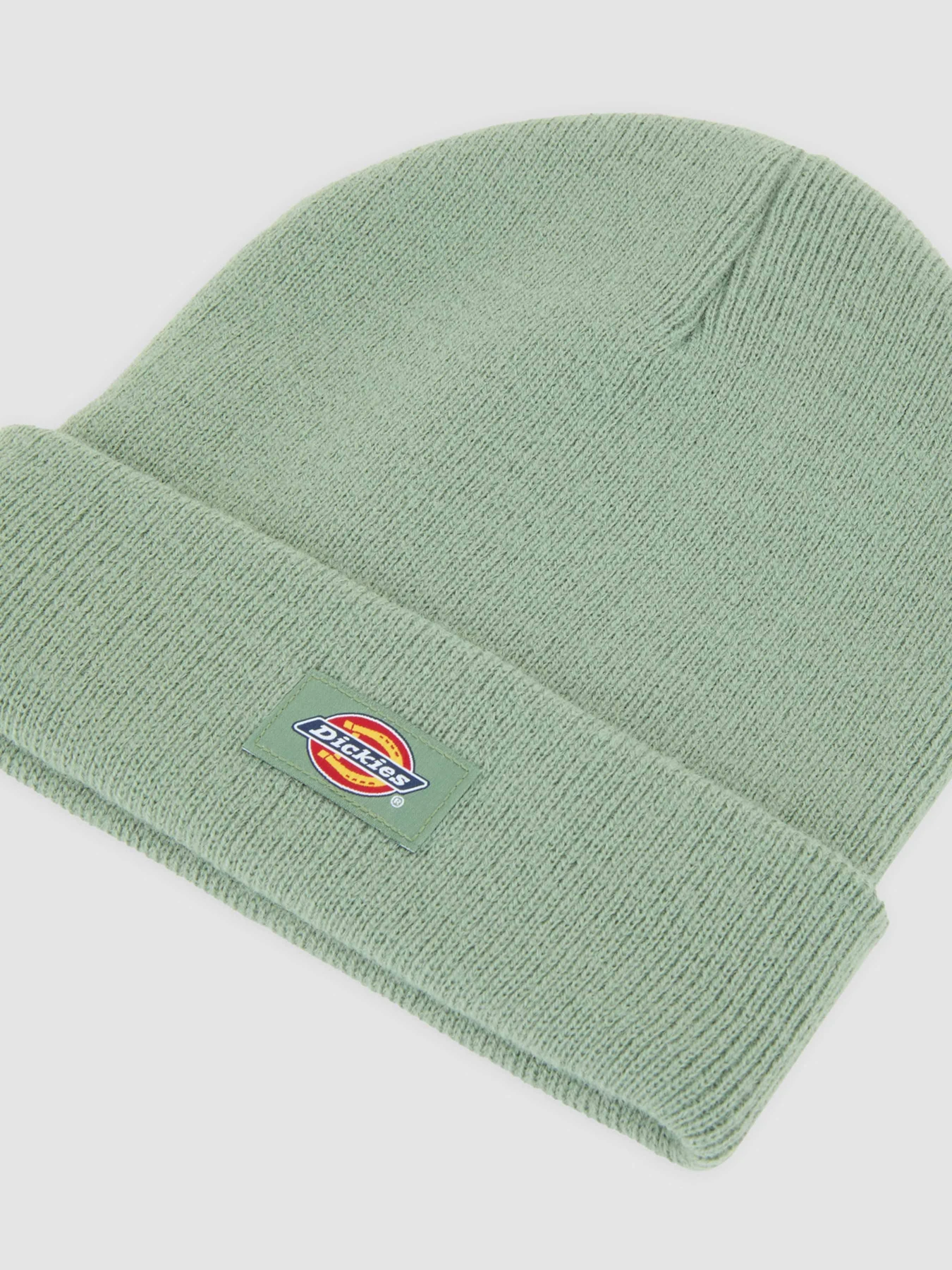 Шапки та кепки Dickies Gibsland модель DK0A4X7KL191 Фото
